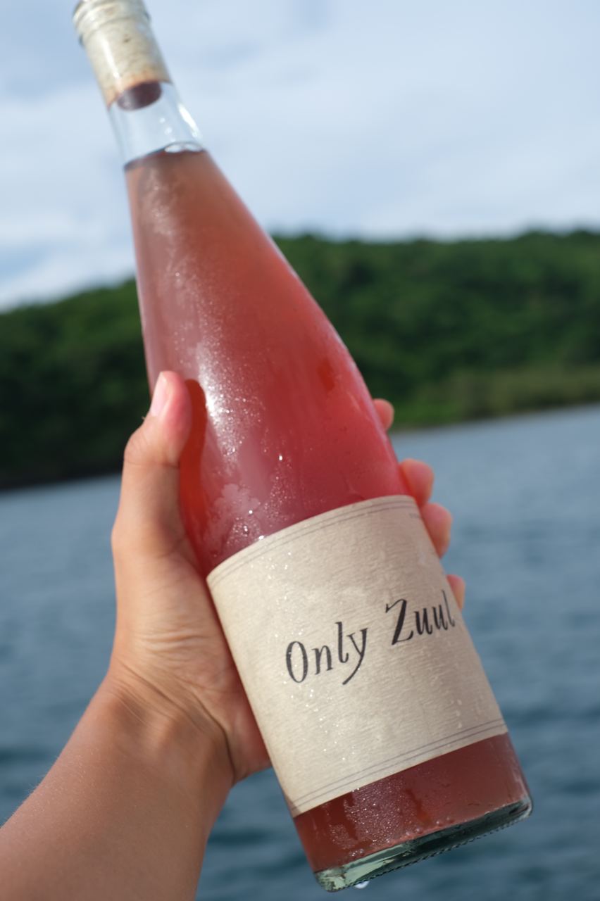 Only zuul by the beach
