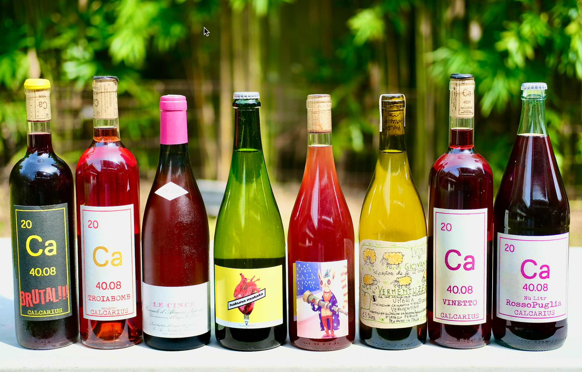 family shot of natural wines